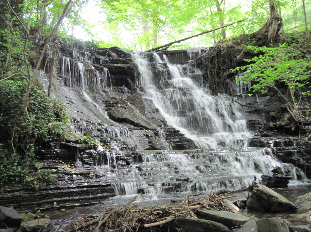 Ledford Mill Bed and Breakfast主图