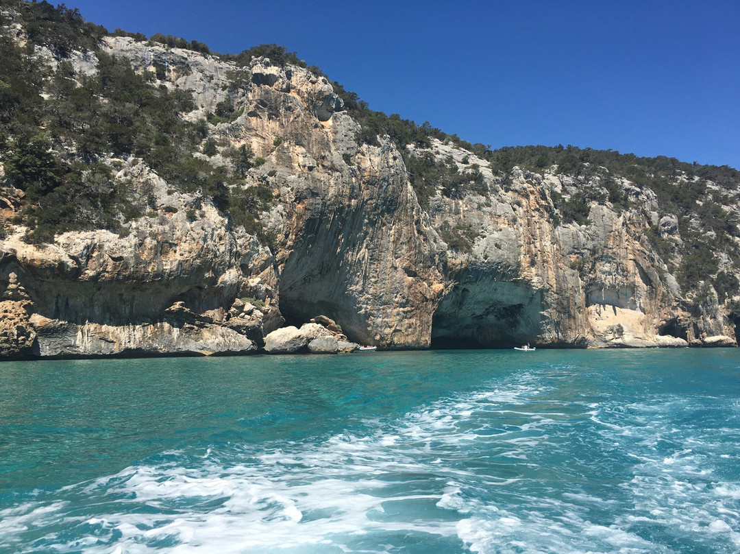 Cala Gonone旅游景点-Grotta del Bue Marino