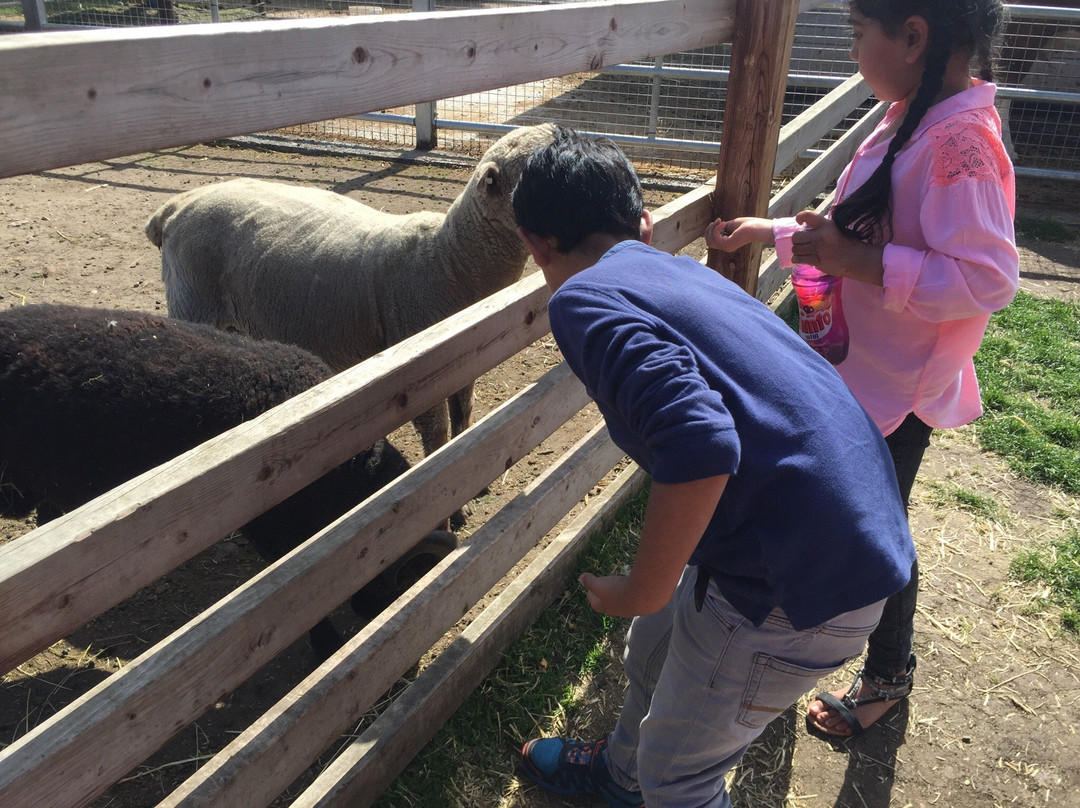 Brooks Farm-伦敦必去景点