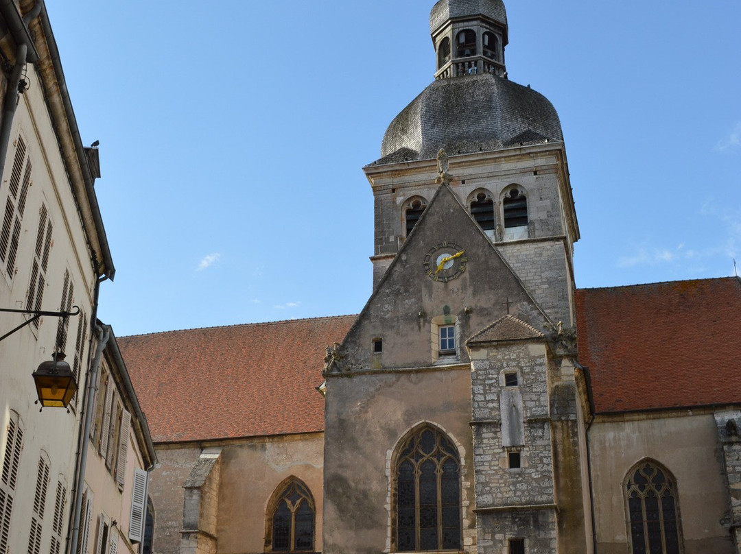 Basilique Notre-Dame de Gray景点图片