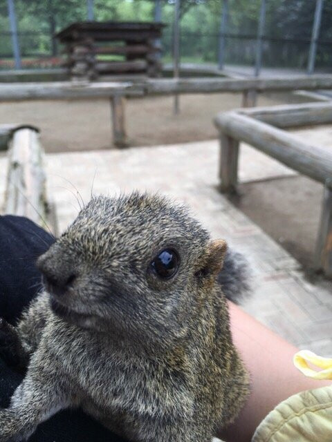 Shimin Fureai no Sato-大阪狭山市必去景点