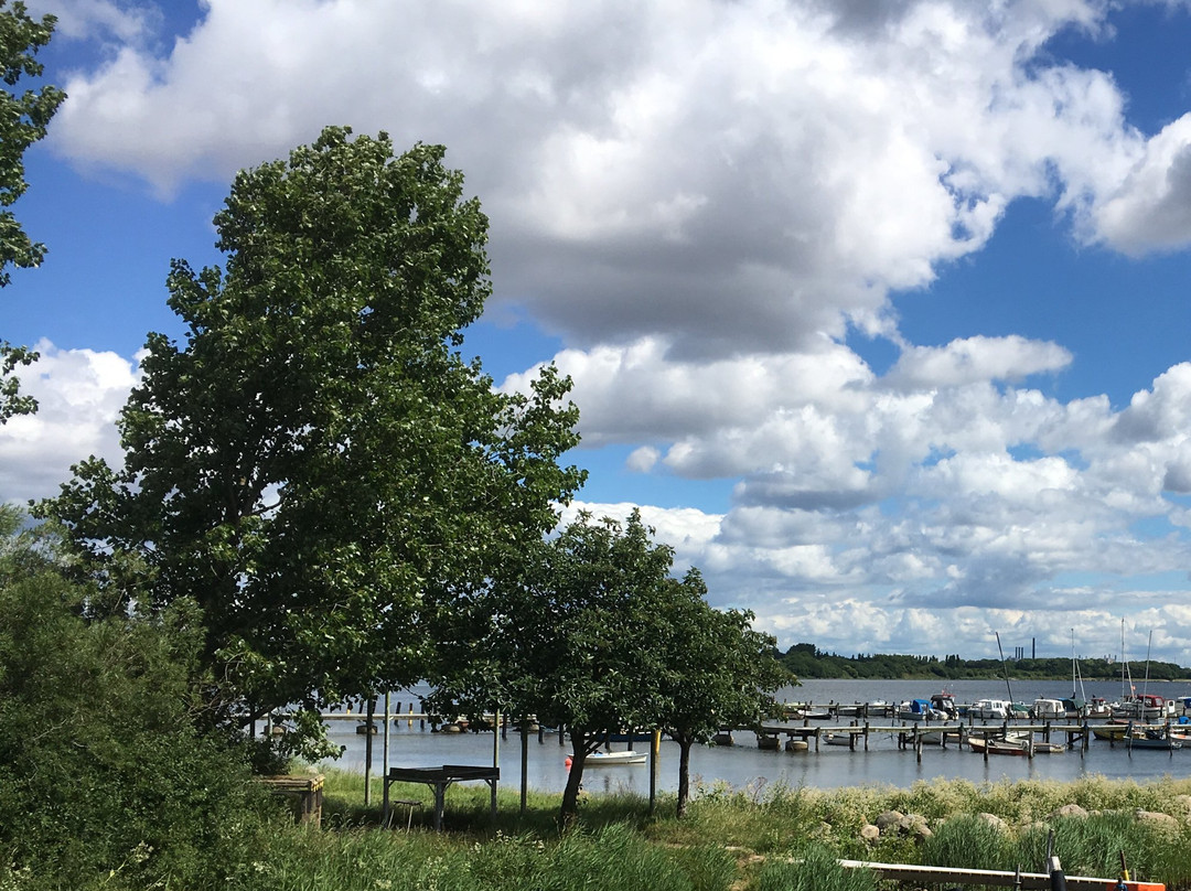 Hvidovre Havn景点图片