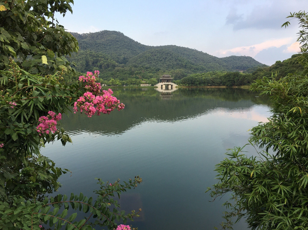 同沙生态公园景点图片