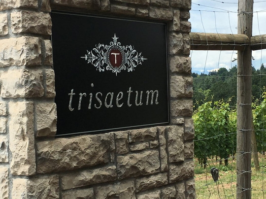 Trisaetum-纽伯格必去景点