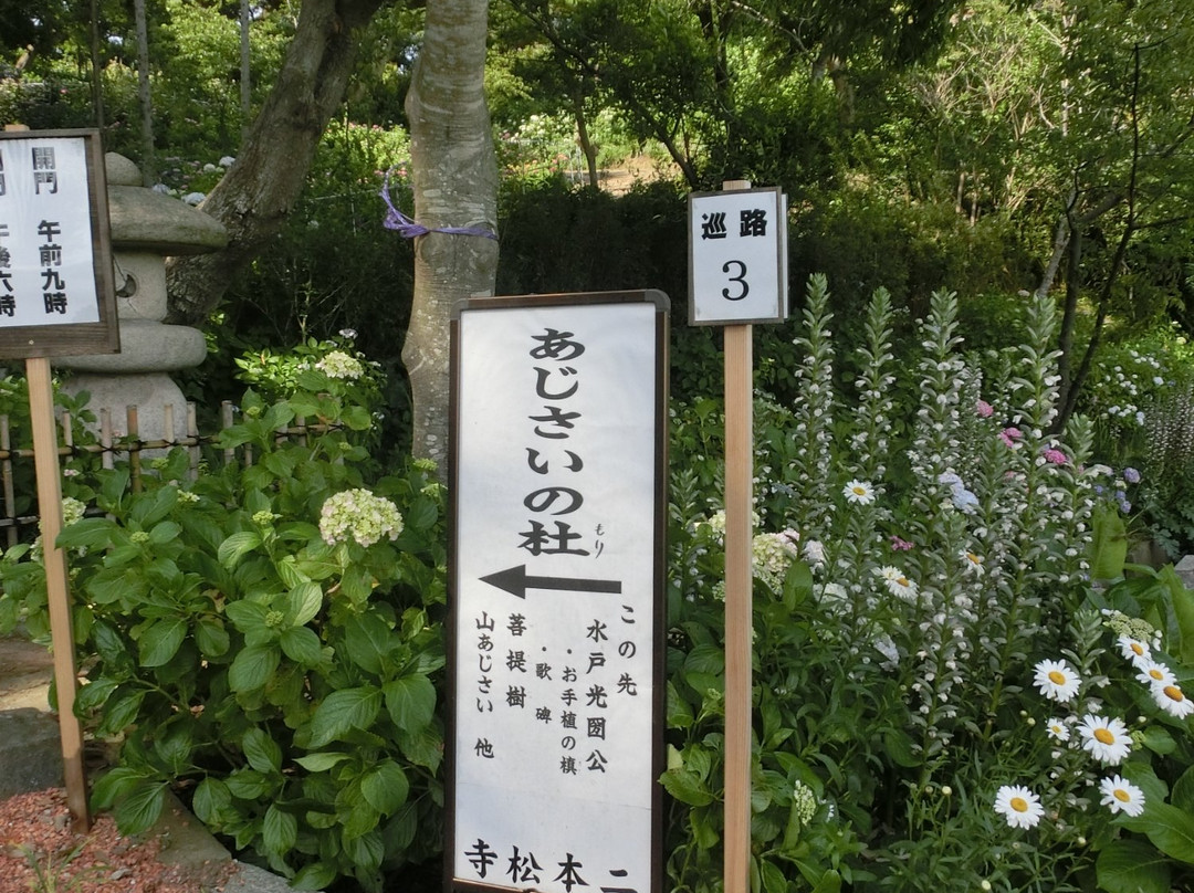 Nihommatsuji Temple-潮来市必去景点