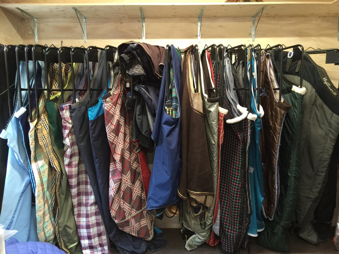 De Paardenkamp - Boerderij Vosseveld-索斯特必去景点