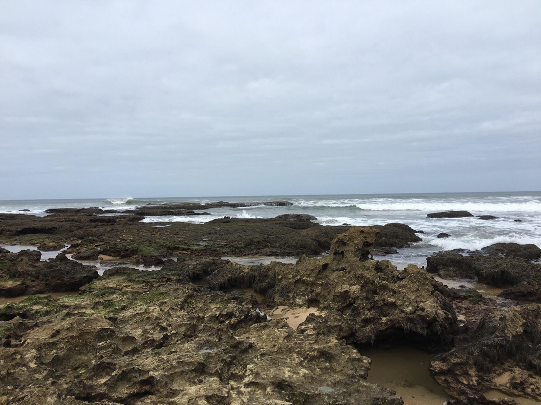Fisherman's Beach-托基必去景点