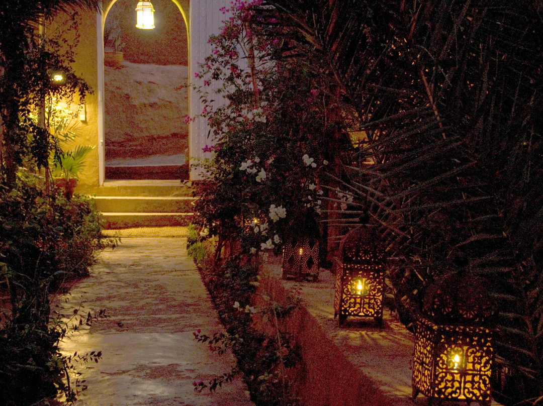 Amezrou酒店住宿-Villa Zagora Ma Villa Au Sahara