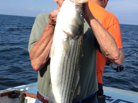 Breezin' Thru Charters-Stevensville必去景点