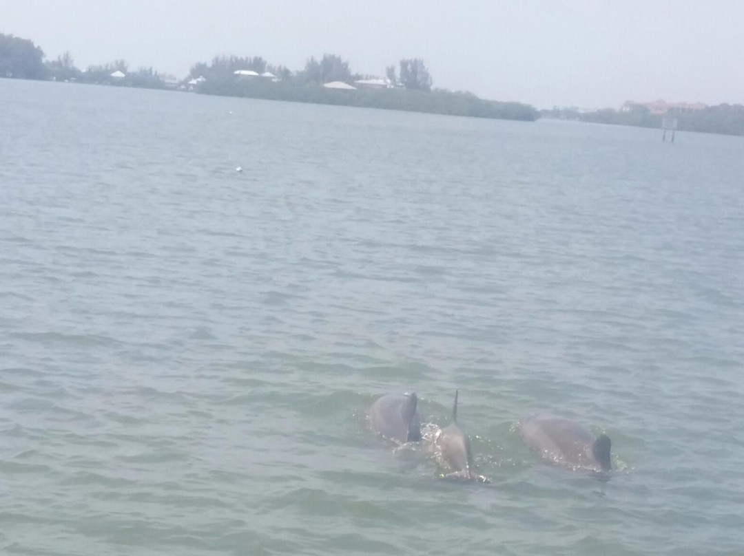 Neptune Boat Rentals-恩格尔伍德必去景点