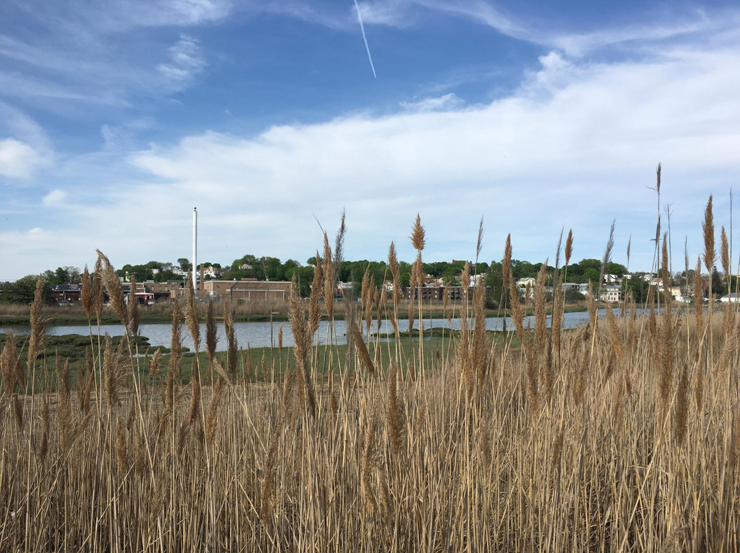 Belle Isle Marsh Reservation-波士顿必去景点