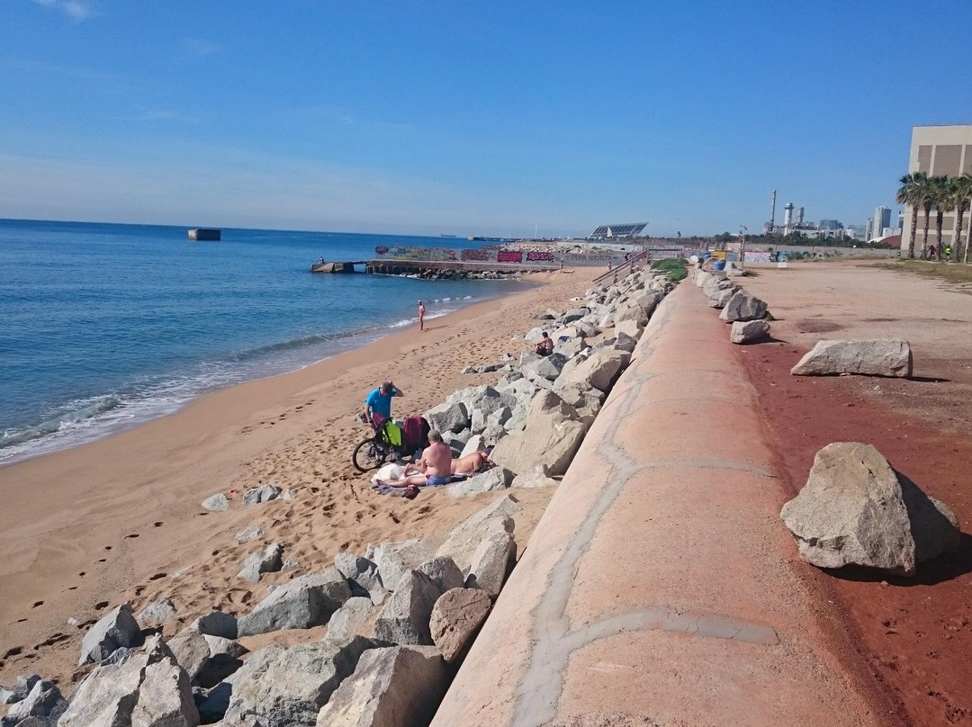 Platja de la Mora景点图片