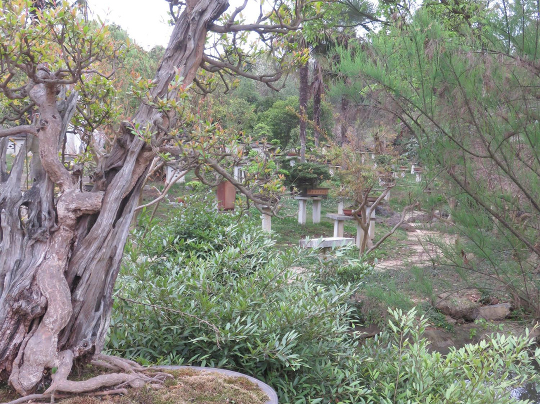 黄果树盆景园-镇宁布依族苗族自治县必去景点