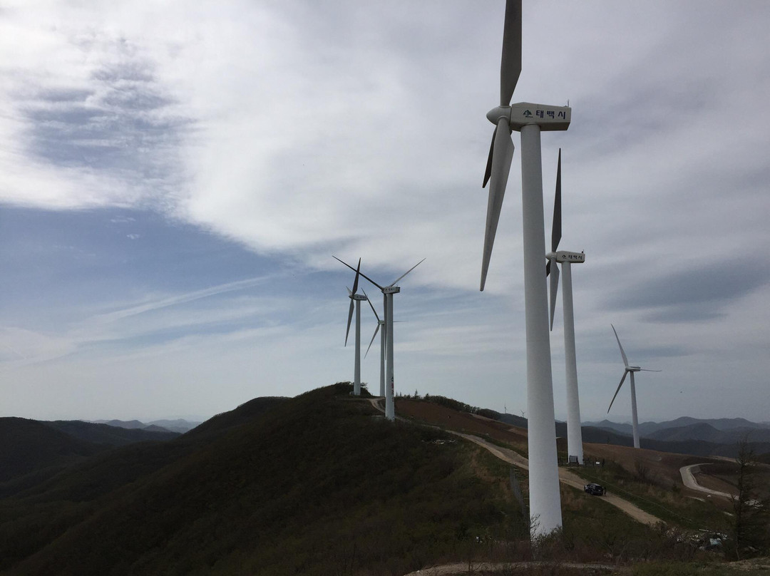 Maebongsan Wind Power Plant Complex-太白市必去景点
