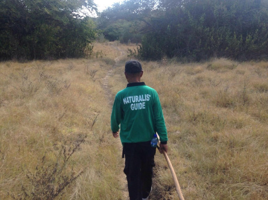 Komodo Tours-登巴萨必去景点