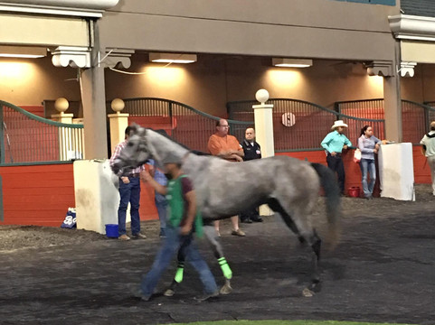 Lone Star Park-大草原城必去景点