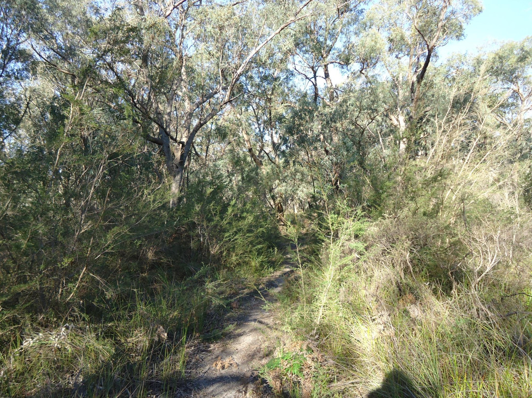 Holey plains state park-Rosedale必去景点