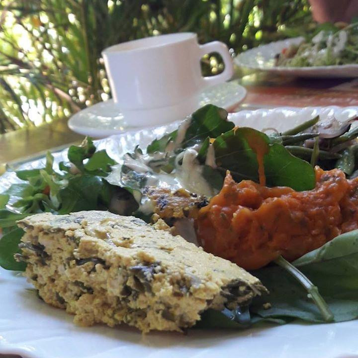 Girassol Alimentação Saudável