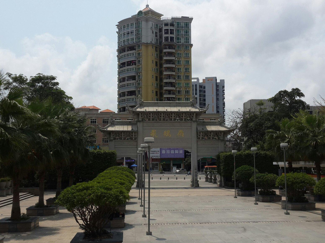 飞鹅岭森林公园-惠东县必去景点