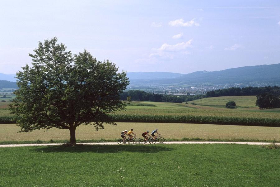 Jura Tourisme-德莱蒙必去景点