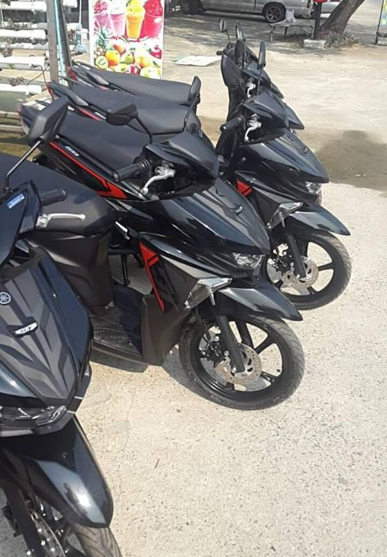 Safetricity-象岛必去景点