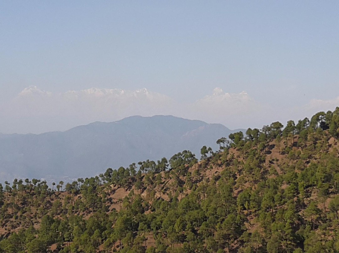 Elphinstone Himalayan Resort主图