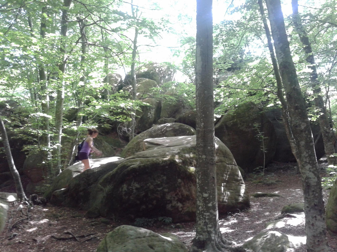 Les Roques Encantades-Susqueda必去景点