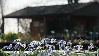 Hardy's Cottage Garden Plants景点图片