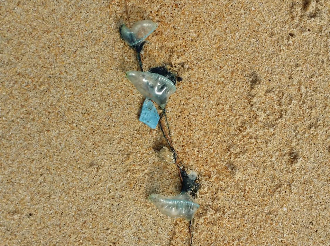 Penunjuk Beach景点图片