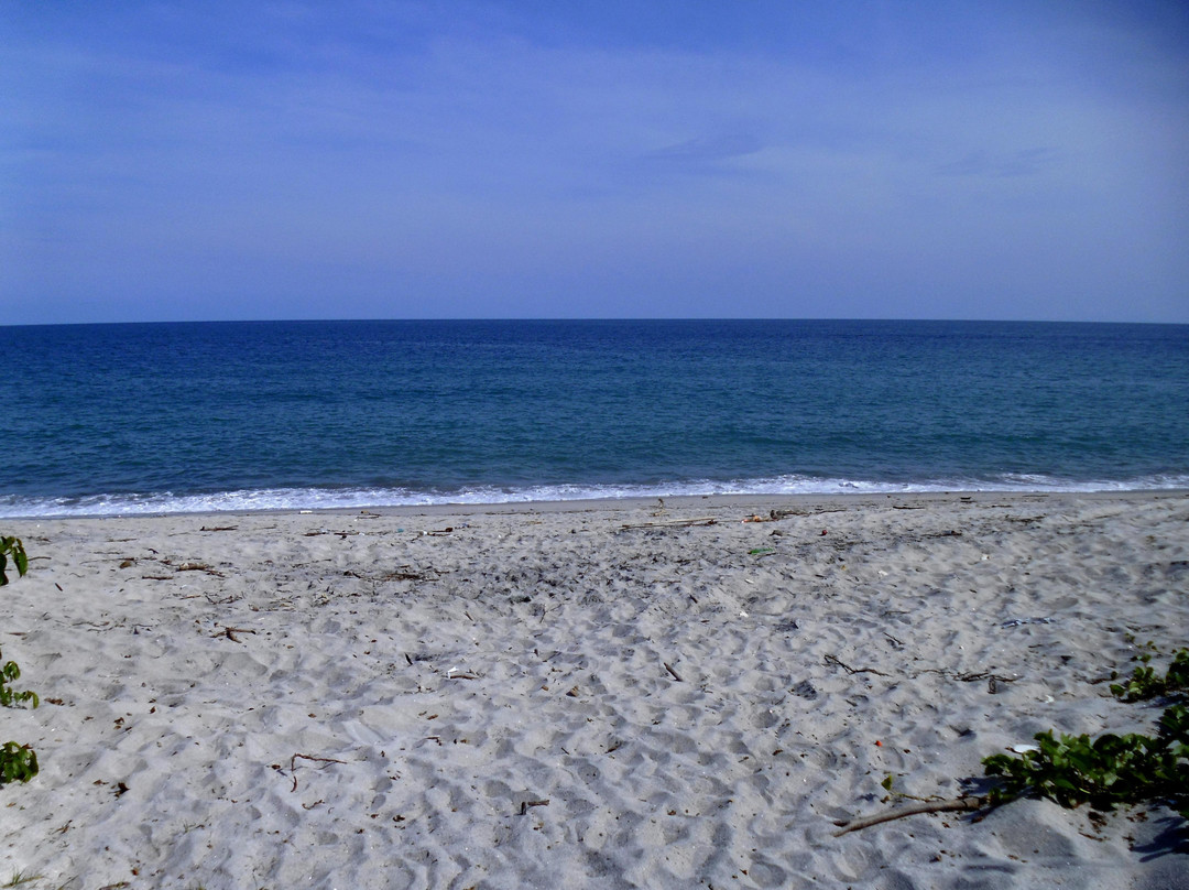 Playa Coronado旅游攻略图片