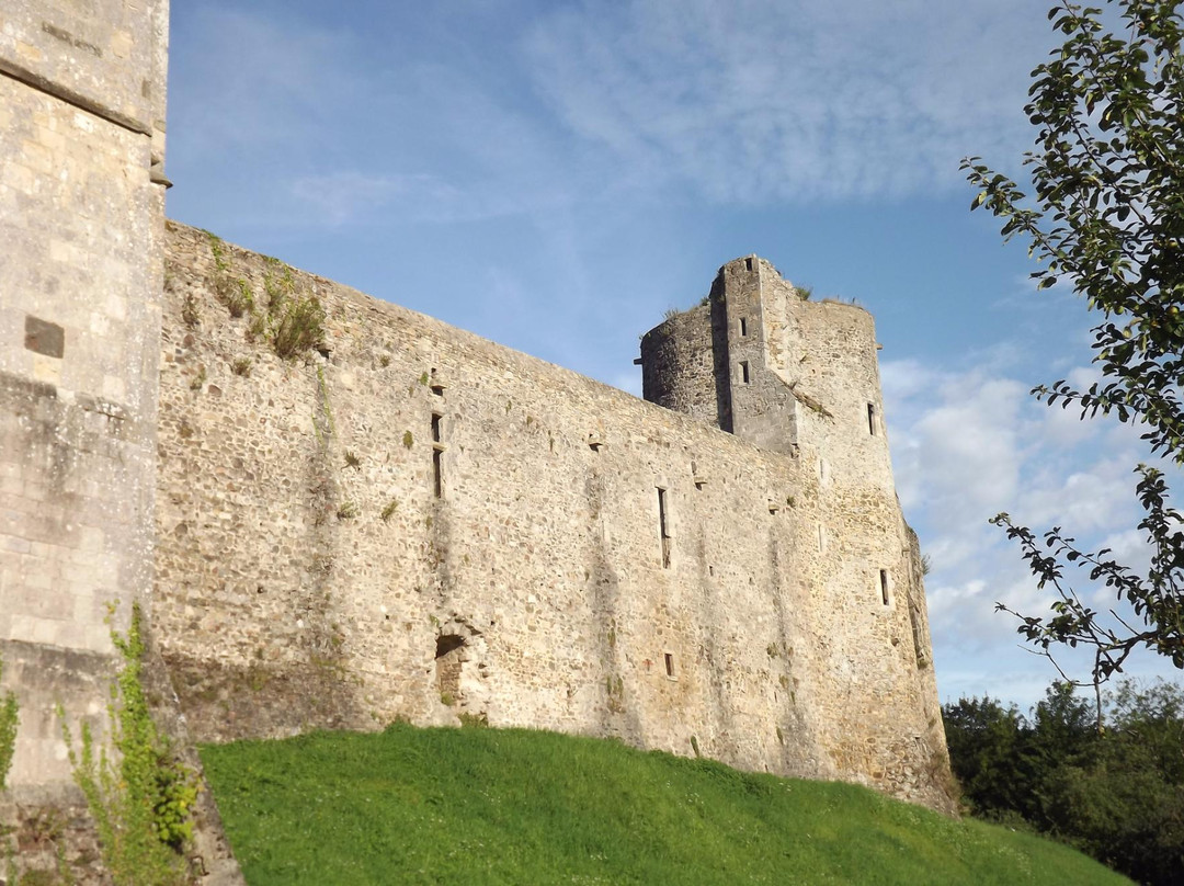 Château de Saint-Sauveur-le-Vicomte景点图片