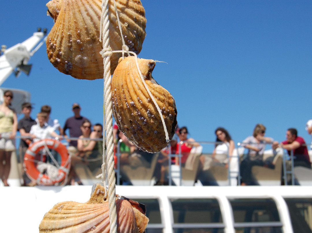 Galicia Incoming Services-圣地亚哥德孔波斯特拉必去景点