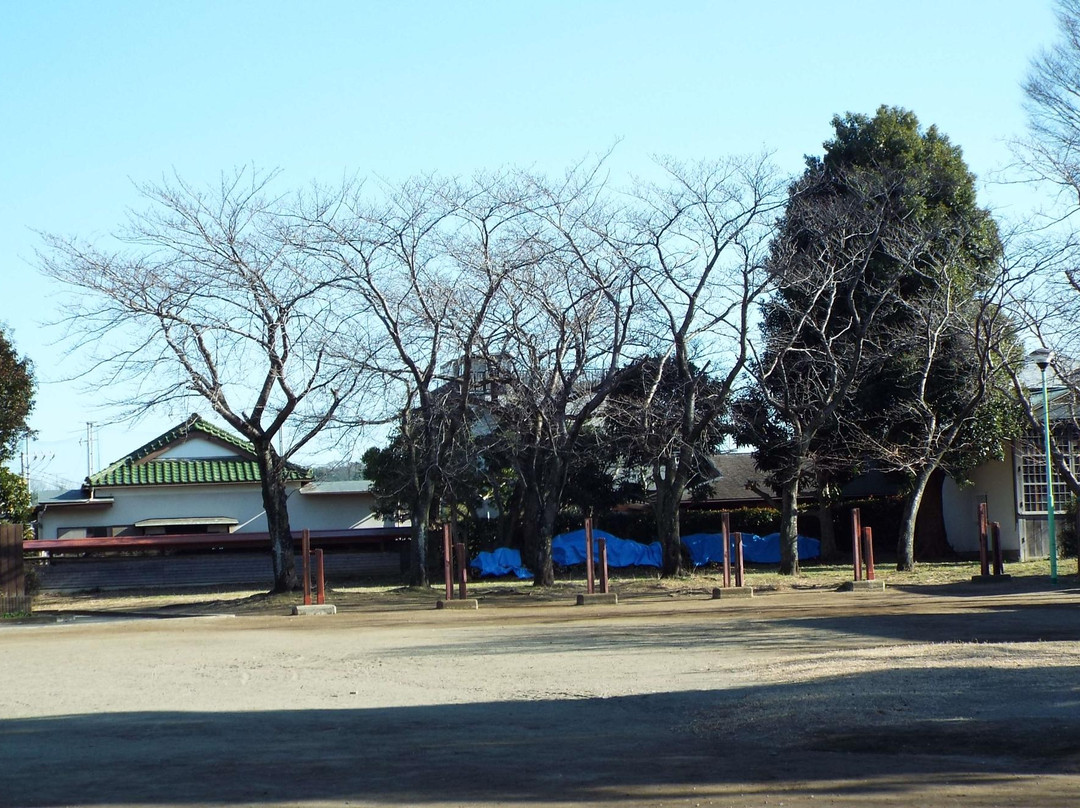 Bamba Park-大矶町必去景点