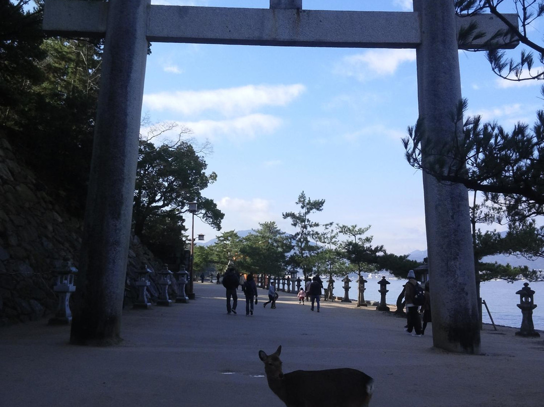 Mikasahama Beach景点图片