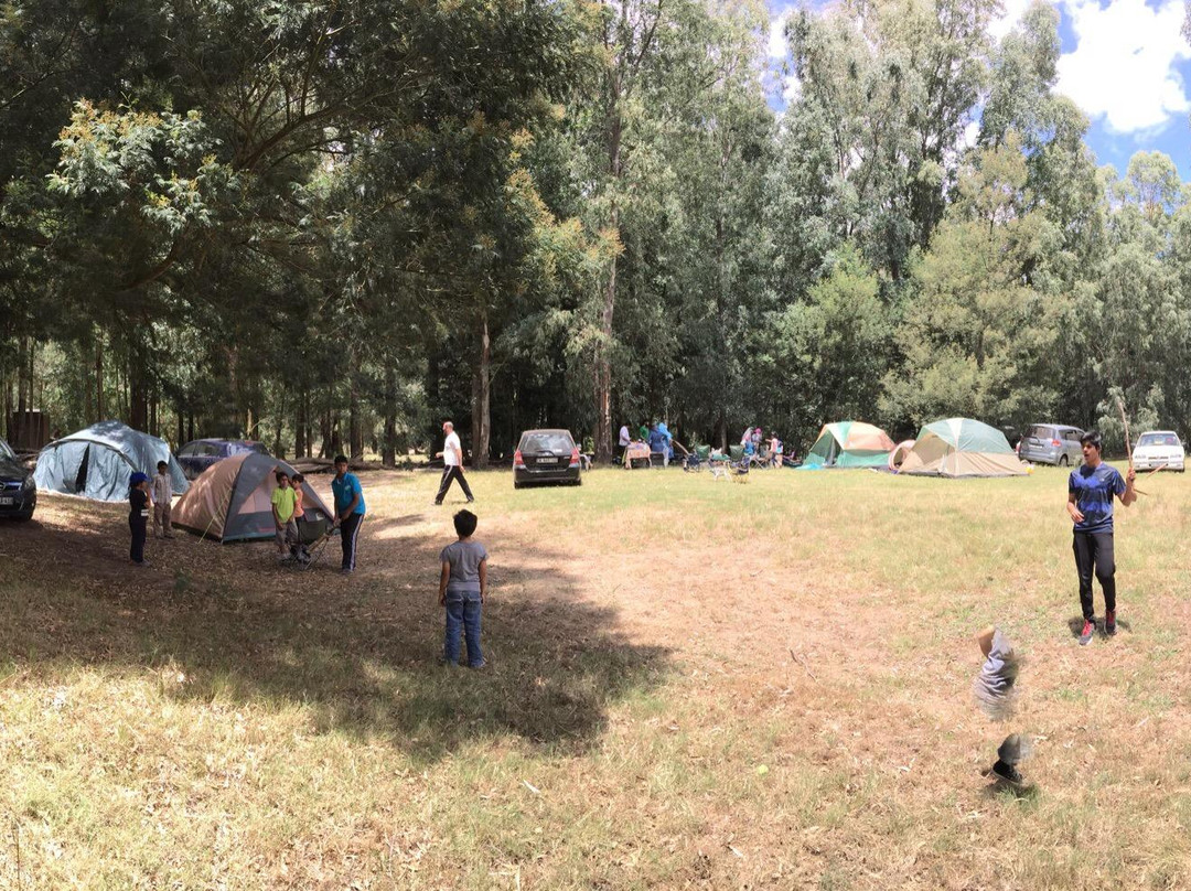 Our Campsite and Cottages
