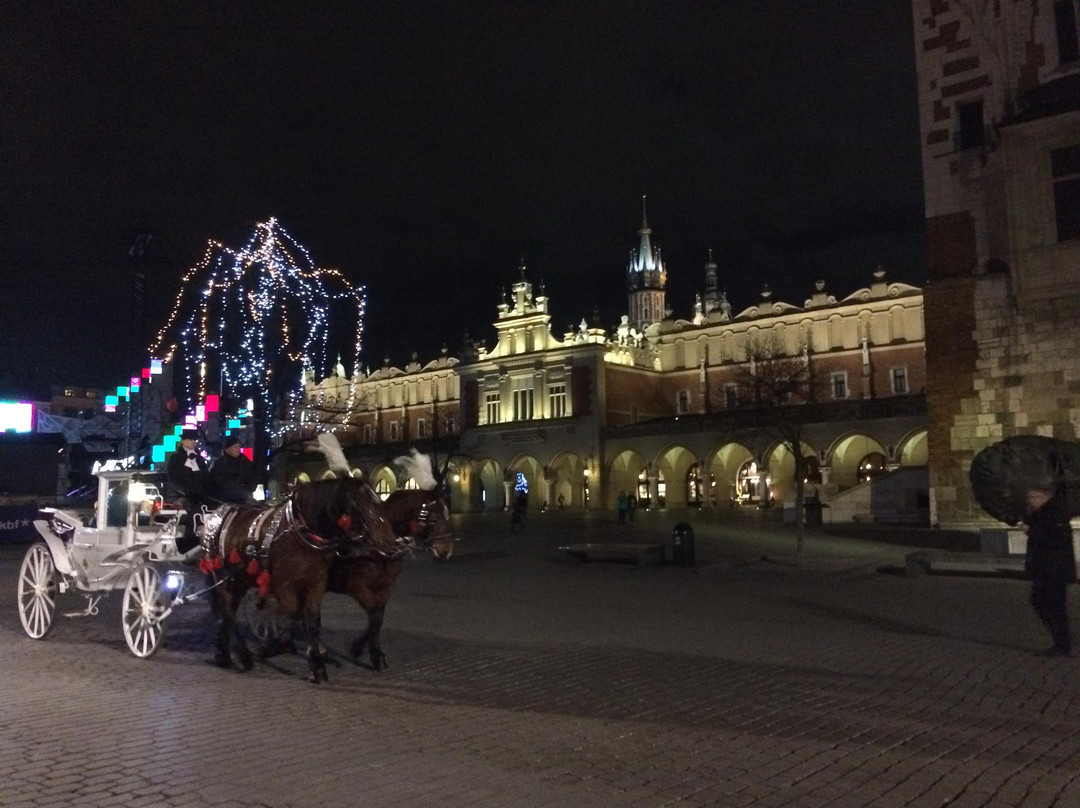 Joanna Czechowska - Cracow Tour Guide-克拉科夫必去景点