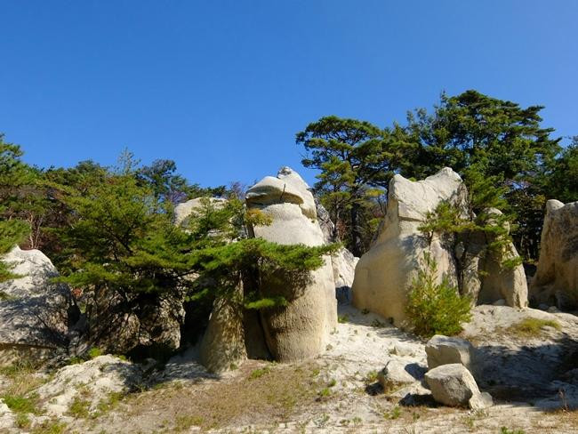 Jodomatsu Park-郡山市必去景点
