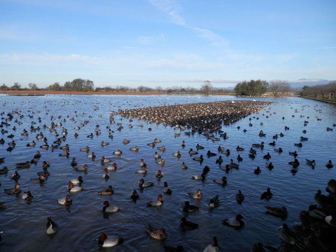 Hyoko Hakucho Kaikan-阿贺野市必去景点