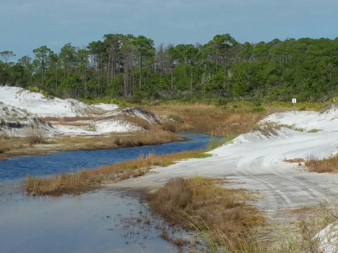 Topsail Hill Preserve State Park