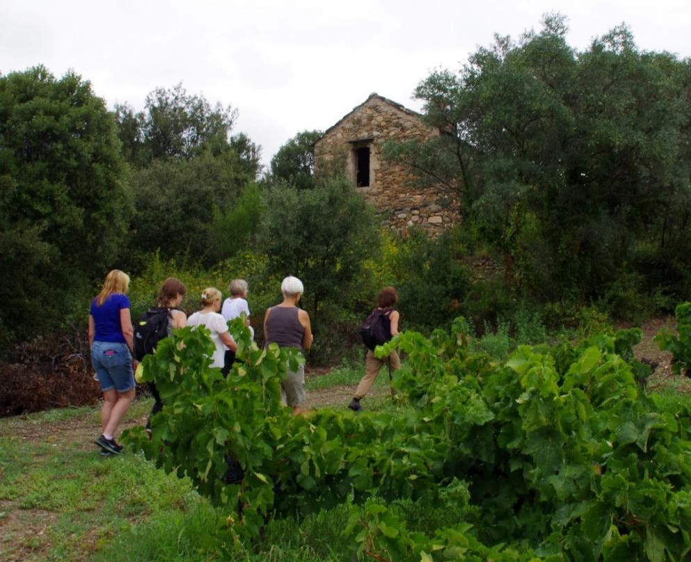 Domaine Du Vieux Chai-Roquebrun必去景点