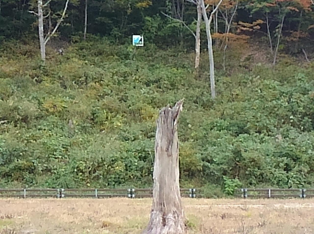 Shinsai Memorial Park Nakanohama-宫古市必去景点