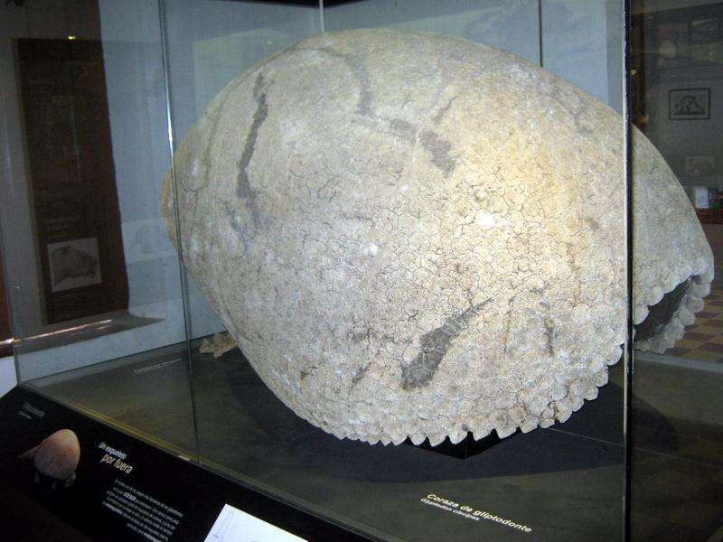 Castillo de Maua-Mercedes必去景点