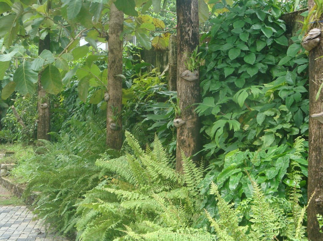 Andumaly Trinity Ayurveda Hospital-科塔亚姆必去景点