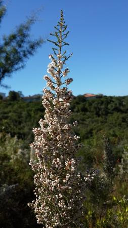 Pledge Nature Reserve-克尼斯纳必去景点