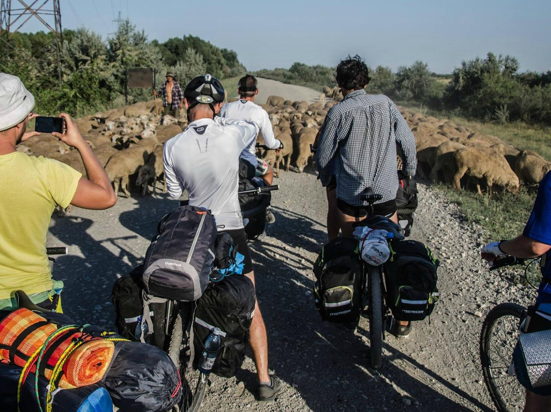 Bikealicious Romania - Day Tours-克卢日-纳波卡必去景点