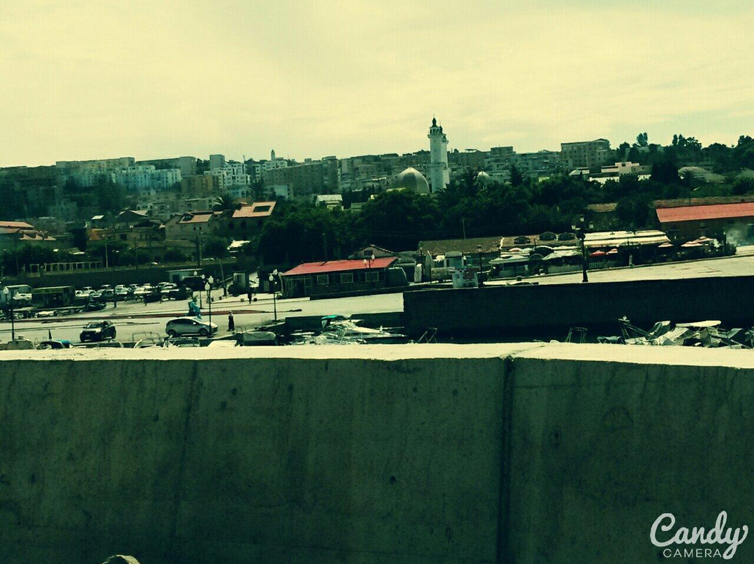 Port de la Madrague-Ain Benian必去景点