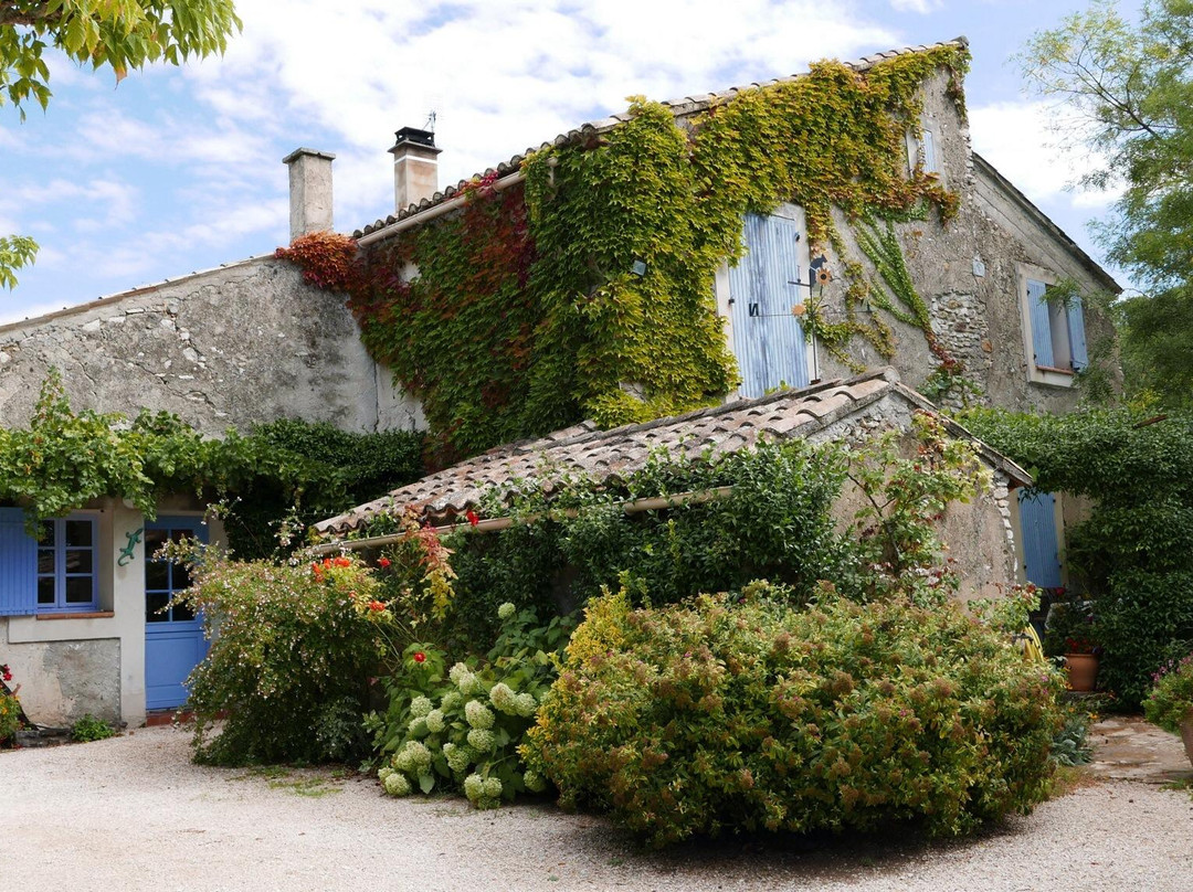 Provencal Cooking景点图片