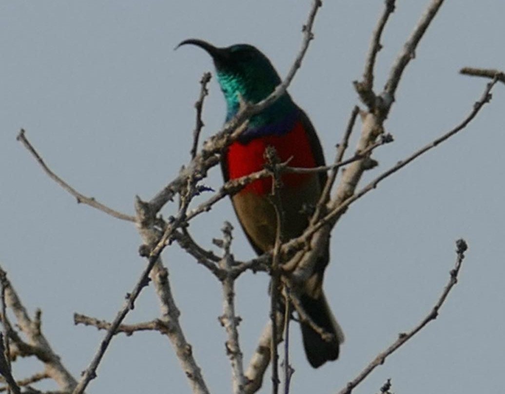 Hluleka Nature Reserve-姆莎莎必去景点