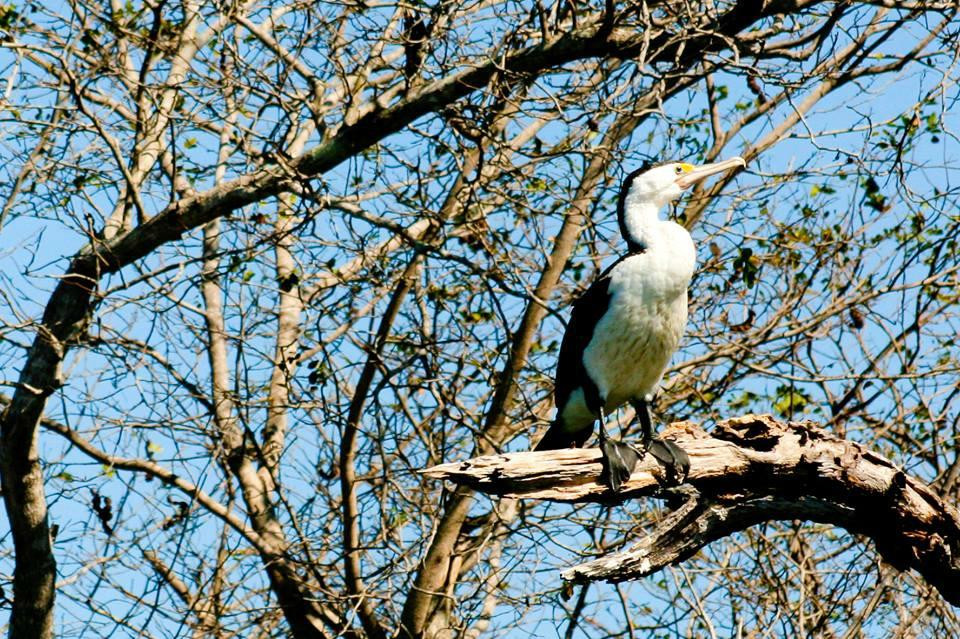 Corroboree Houseboats-Marrakai必去景点