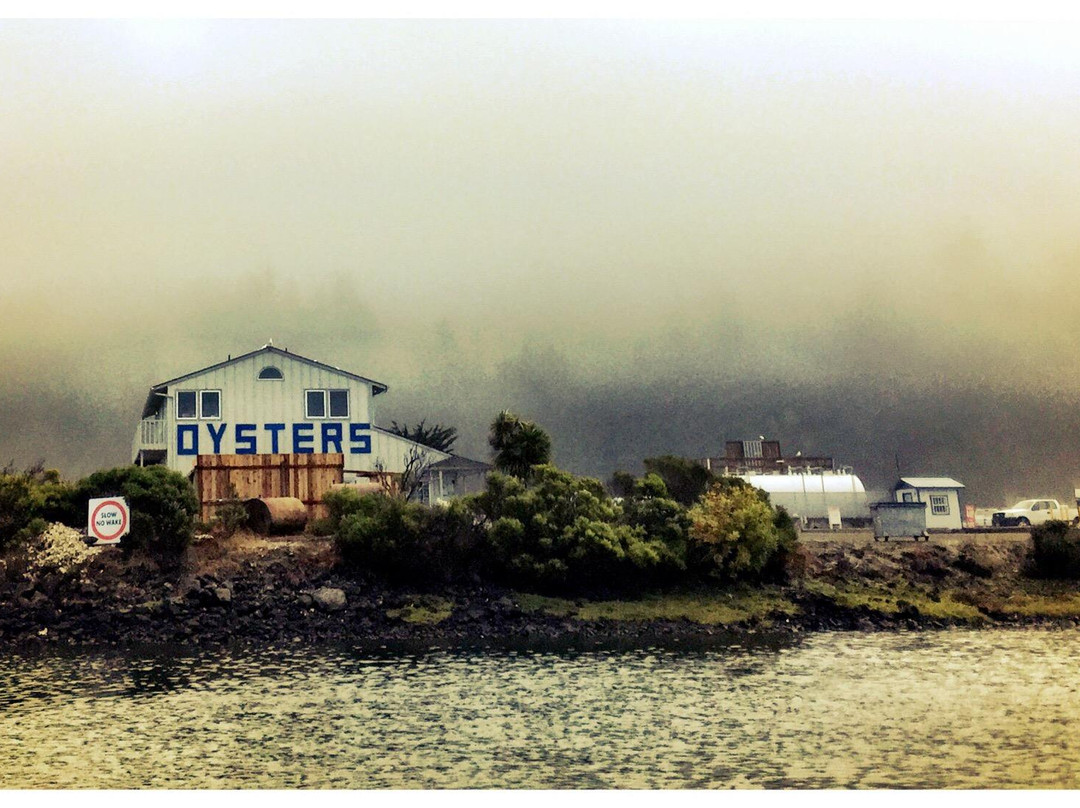 Umpqua Triangle Oysters-Winchester Bay必去景点